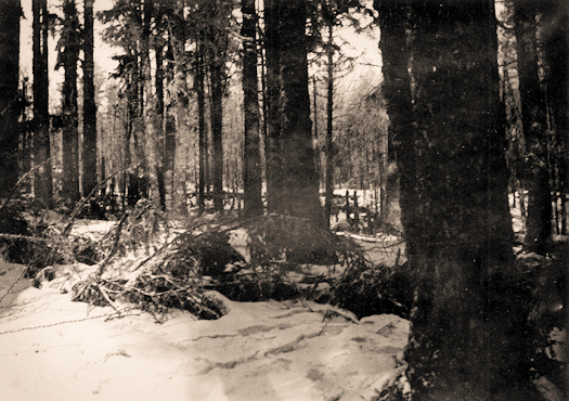 Tête du Violu 1915